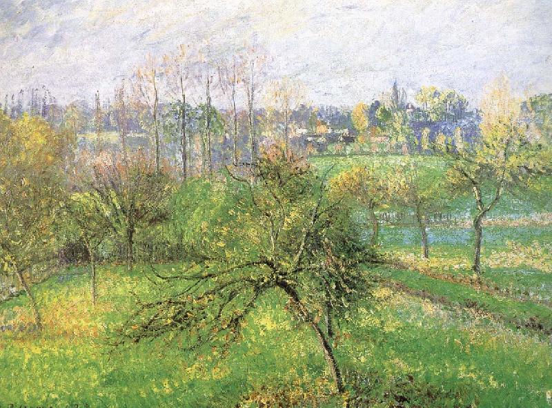 Camille Pissarro Apple Germany oil painting art